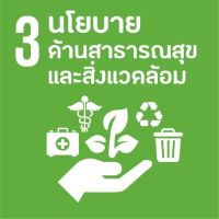 ด้านที่ 3 ยุทธศาสตร์ด้านสาธารณสุขและสิ่งแวดล้อม